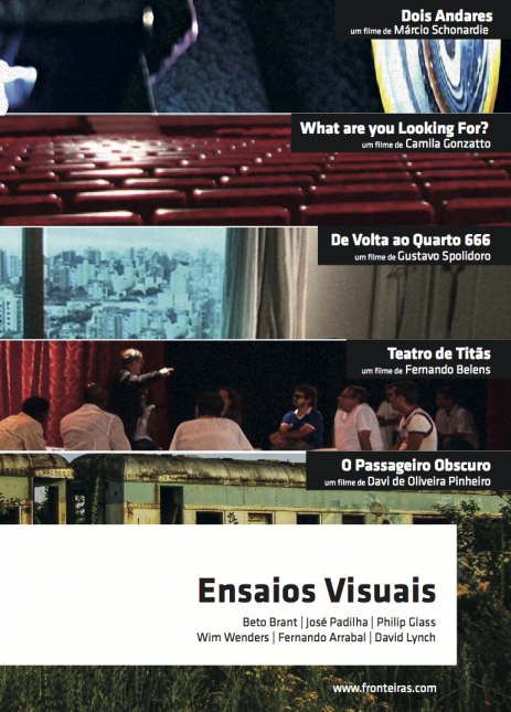 Ensaios Visuais 2008