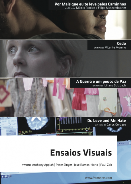 Ensaios Visuais 2014